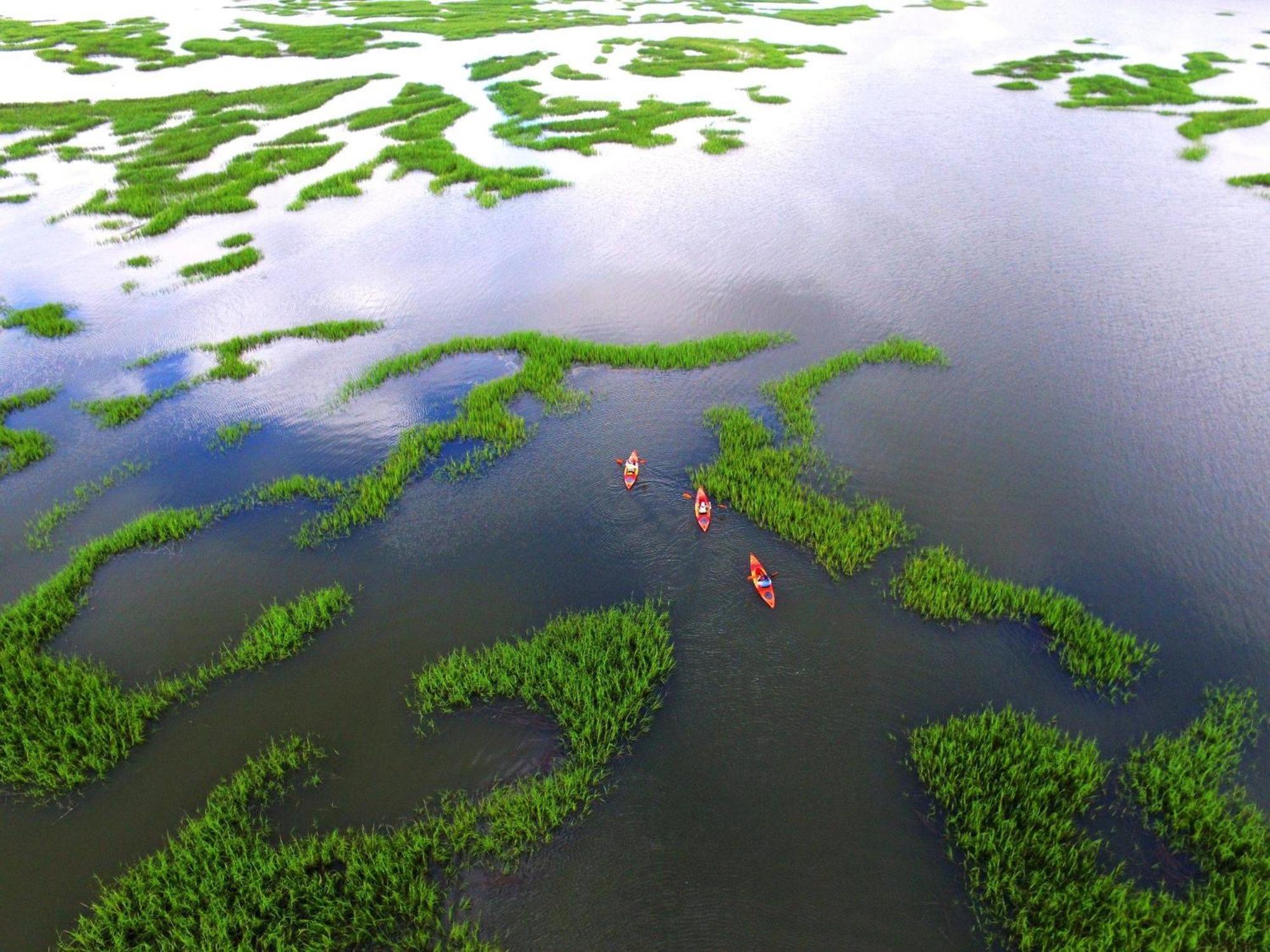 Вілла 80 Mooring Buoy Гілтон-Гед-Айленд Екстер'єр фото